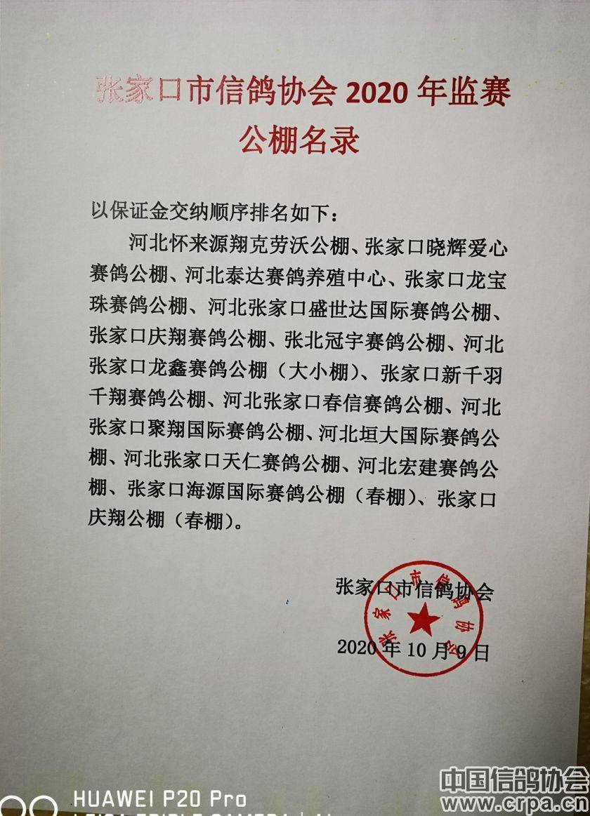 東光信鴿協(xié)會(huì)最新通告，小巷深處的獨(dú)特風(fēng)味揭秘與信鴿活動(dòng)更新通知