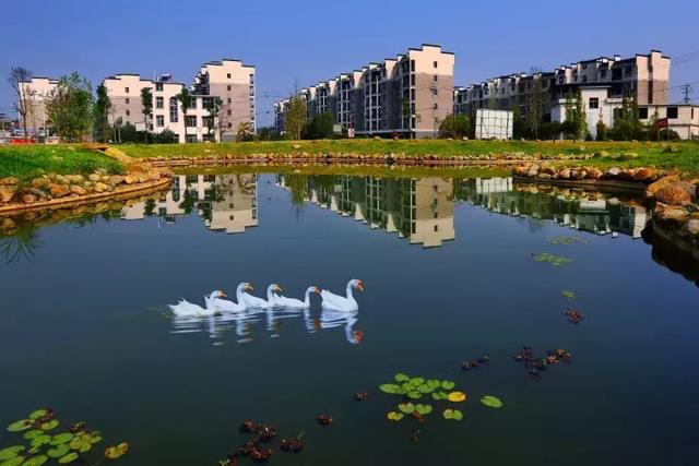 萍鄉(xiāng)安源湖，最新動(dòng)態(tài)揭示湖畔變革與自我超越之旅