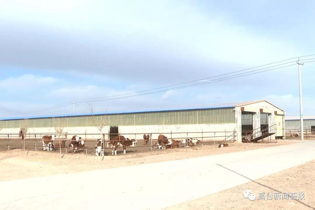 最新養(yǎng)殖場建設(shè)政策解讀，探索之旅啟程