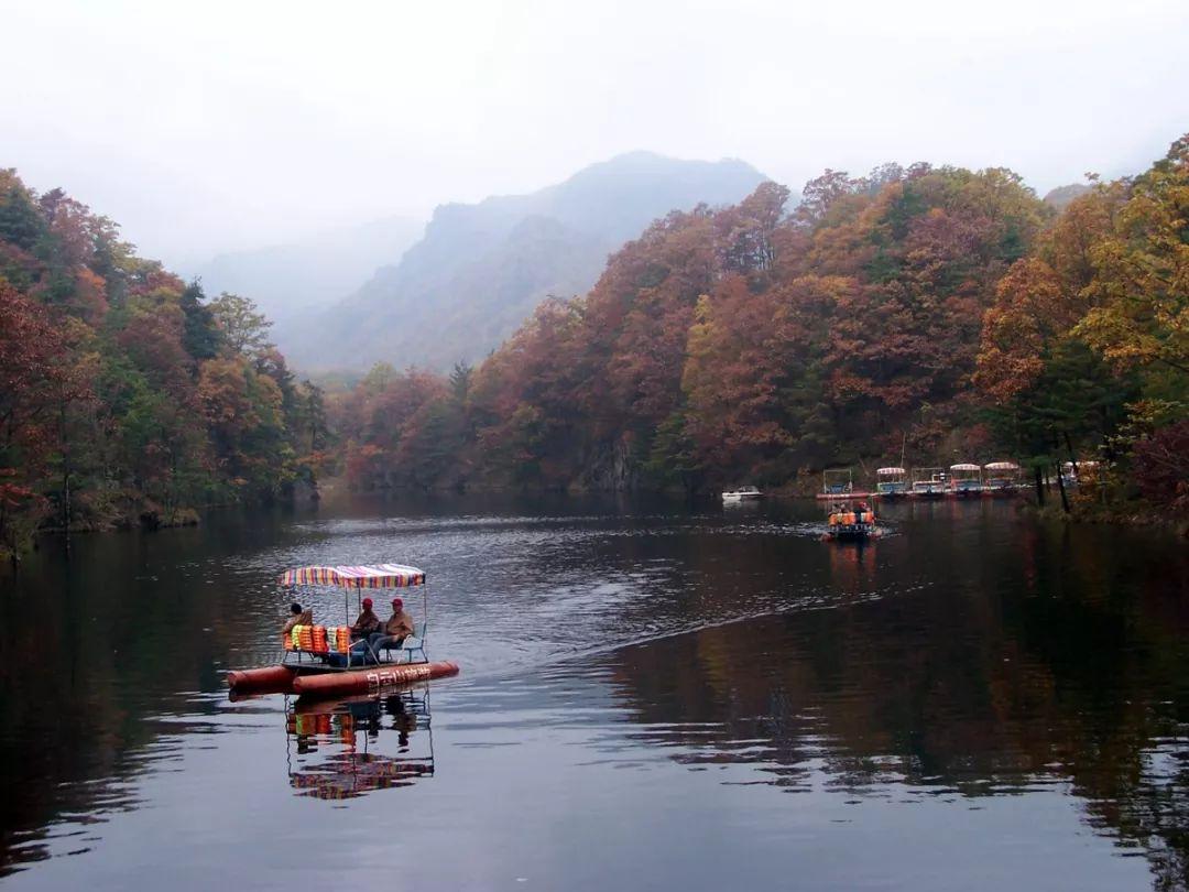 心動瞬間，愛情與生活的美妙交匯