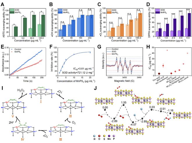 頭發(fā)再生研究新動態(tài),頭發(fā)再生研究新動態(tài)，小巷深處的秘密秀發(fā)實(shí)驗(yàn)室