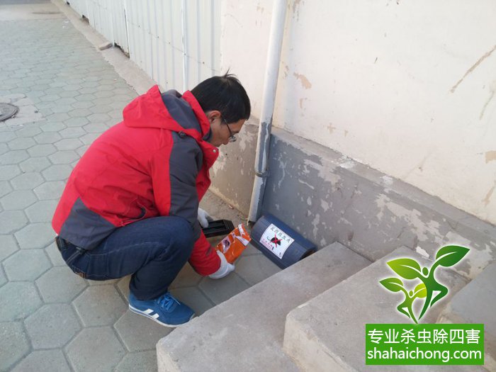 最新滅鼠技術(shù)的觀點(diǎn)論述與立場(chǎng)闡述，創(chuàng)新方法的探索與挑戰(zhàn)