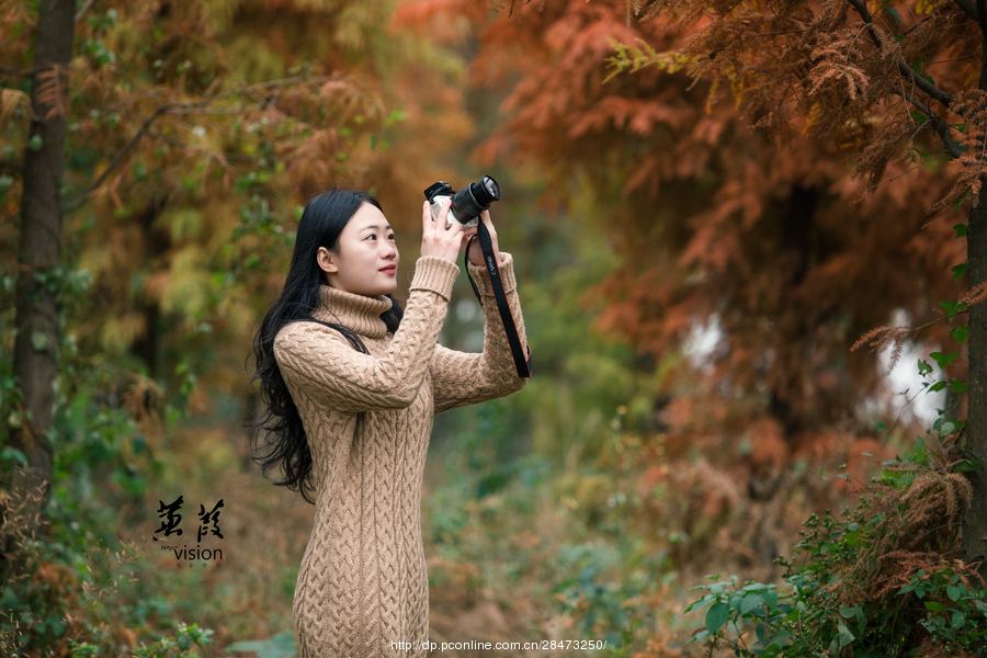 伊人在線電影，探索現(xiàn)代網(wǎng)絡(luò)影視的新境界