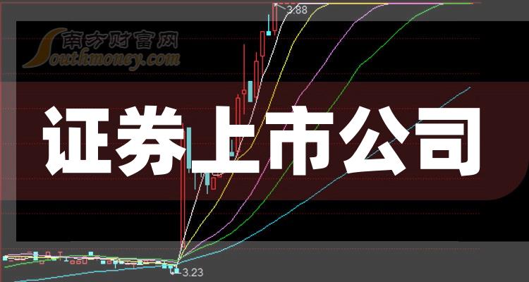 科技巨頭引領(lǐng)下的全新視界，股票上市公司概覽