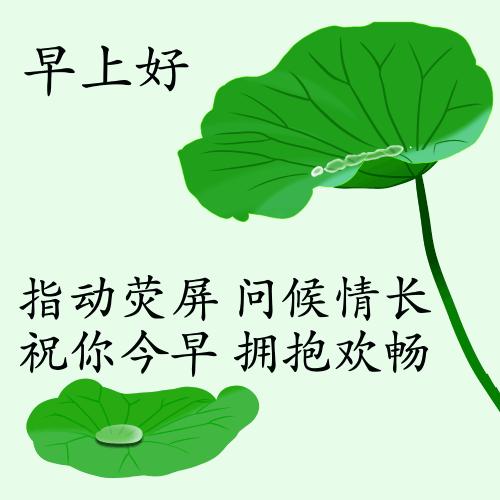 最新疫情動態(tài)下的自然探索之旅，追尋內心的平和與寧靜