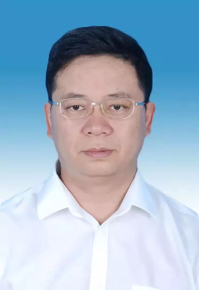 開遠市干部任免信息詳解，最新任免指南與動態(tài)更新