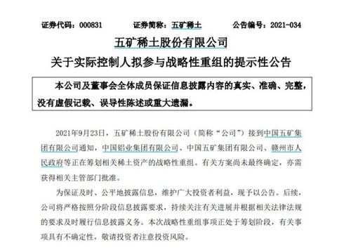 南方稀土股票，小巷中的隱秘寶藏，探索投資魅力的未知之旅