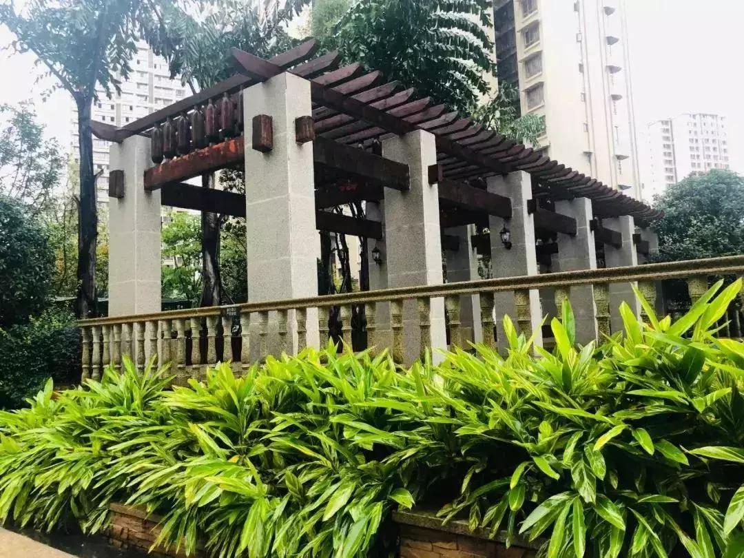 陽光江山金岸最新動(dòng)態(tài)揭秘，全面指南與步驟詳解