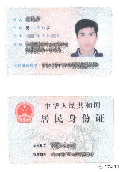 最新證照，友情與陪伴的溫馨故事之旅