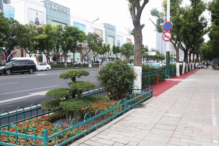 濰坊市奎文區(qū)改造工程，自然美景的探索之旅