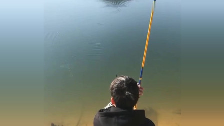 楊柏文最新垂釣視頻，從初學(xué)者到進(jìn)階用戶的技能提升指南