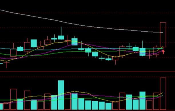 融捷最新公告詳解，任務(wù)完成指南與技能學(xué)習(xí)步驟全面解析