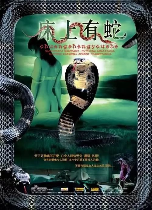 最新蛇片，蛻變的旅程，召喚自信與成就感的冒險之旅