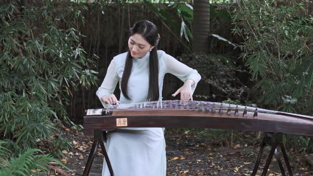 抖音最新琵琶演奏，古典與現(xiàn)代的完美融合之美
