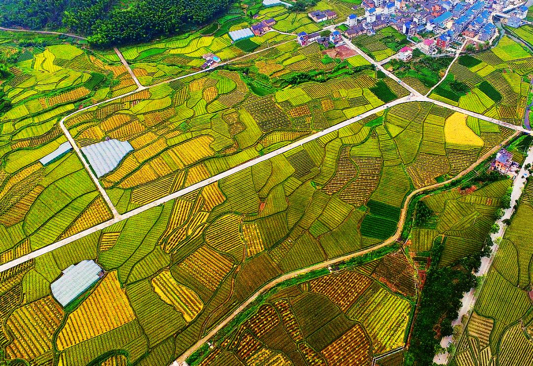 金竹最新規(guī)劃發(fā)布，開啟學(xué)習(xí)新篇章，培養(yǎng)自信與成就感的源泉