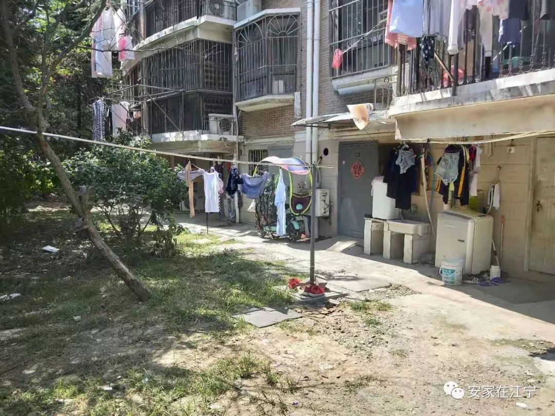 最新大雜亂時(shí)代，混沌與秩序的重建之路
