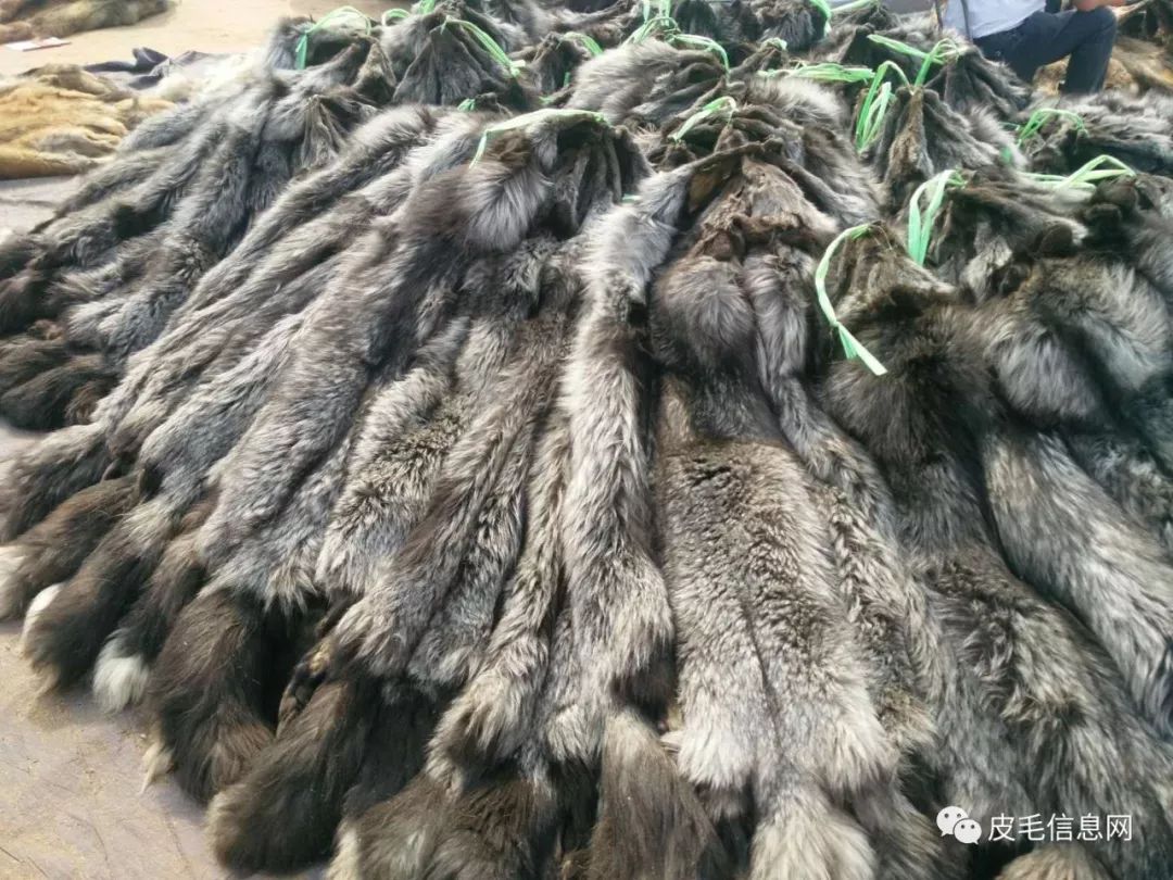 貉皮尚村最新價(jià)格，小巷中的時(shí)尚皮草寶藏探索