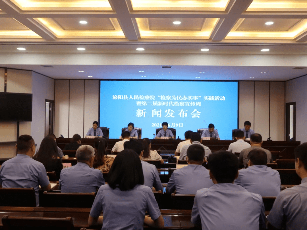 泌陽新聞最新動(dòng)態(tài)，多元視角下的觀察與思考