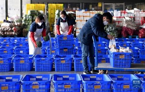 運(yùn)動場館燈具 第146頁