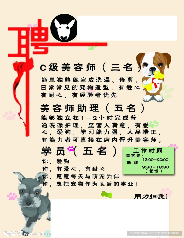寵物店招聘最新動(dòng)態(tài)，共探自然之美，尋求內(nèi)心寧靜