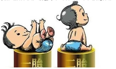 最新雙胞胎補助政策，攜手同行，助力孕育夢想之路