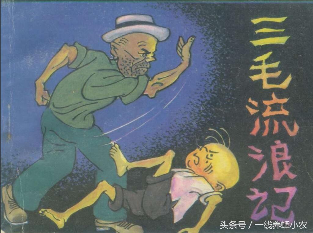 上海三毛最新動態(tài)，自然美景探索之旅啟幕