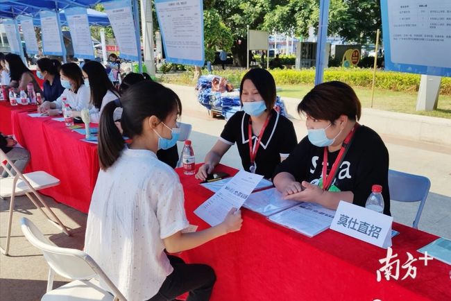 石碣最新招聘動(dòng)態(tài)，把握職業(yè)機(jī)遇，共創(chuàng)美好未來之路