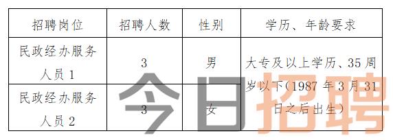 慶陽最新招聘揭秘，小巷中的特色小店，探索未知寶藏的職場之旅