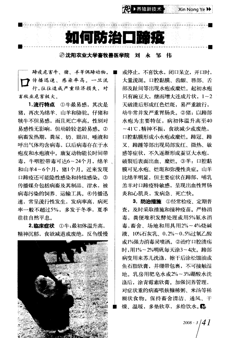口蹄疫最新科研，自然探險與內心平和的追尋之旅