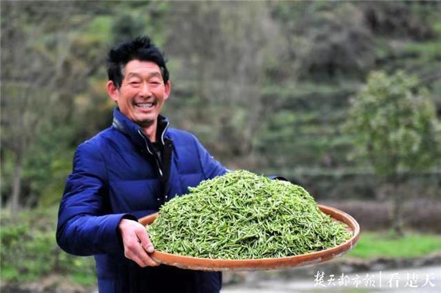 最新夷陵新聞，探索自然美景的旅程，尋覓內(nèi)心平和之地