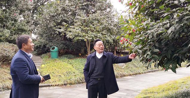 最新花木求購，開啟一場尋綠之旅的溫馨旅程