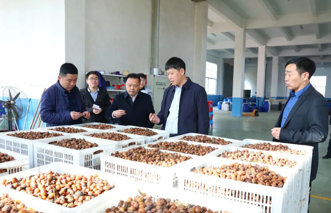 建寧最新新聞，城市溫馨日常與友情力量的展現(xiàn)