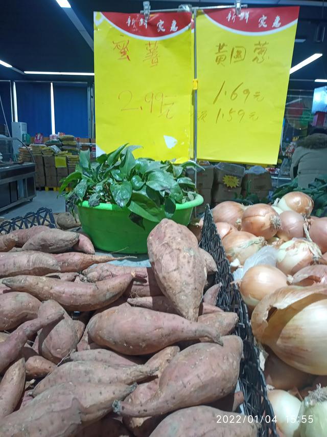 最新地瓜價(jià)格解析，查詢指南與任務(wù)攻略