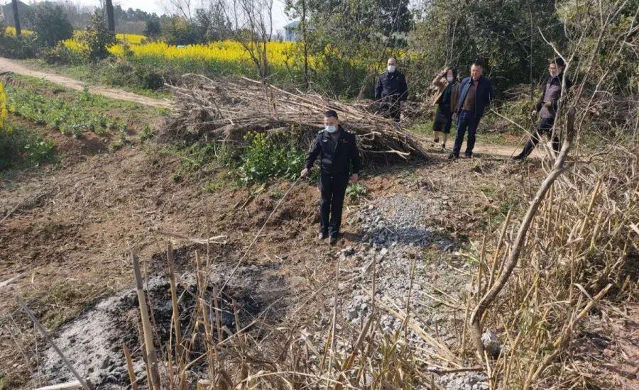 溧陽最新天氣，氣象變遷與地域影響探究