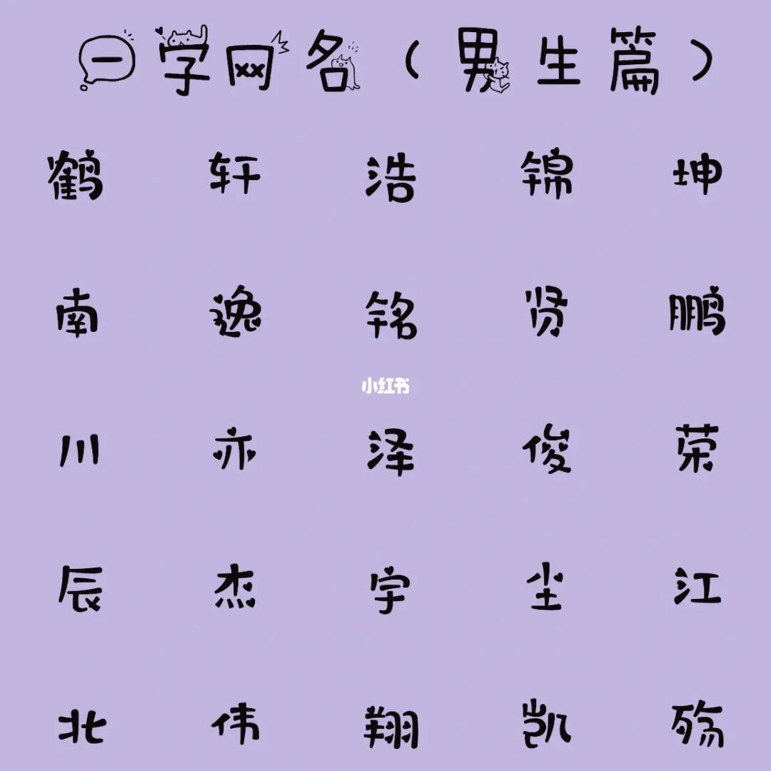 最新男生網(wǎng)名，時代潮流與虛擬身份的完美融合塑造