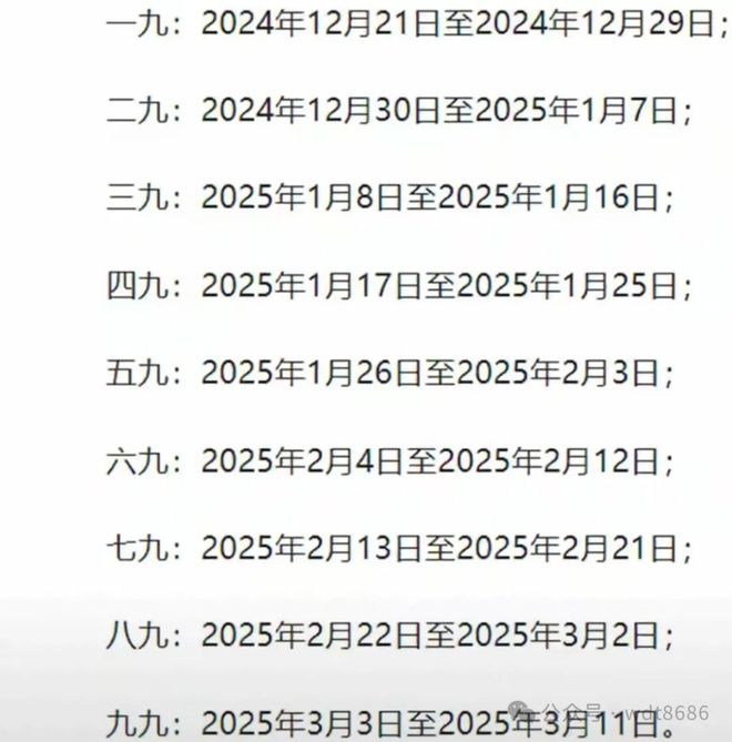 最新久久網(wǎng)2025，友情小船與溫馨日常的交織