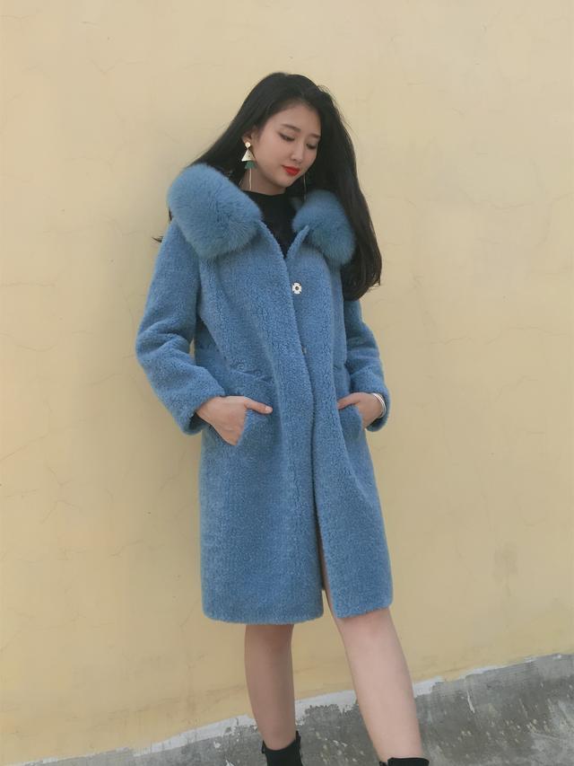 三七花最新價格揭秘，溫馨小故事中的尋找之旅