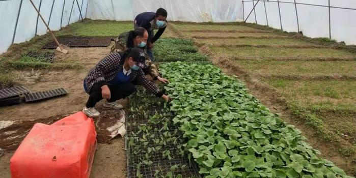 策勒最新招聘啟航人才新篇章，學(xué)習(xí)變化，擁抱自信與成就，啟程人生新征程！