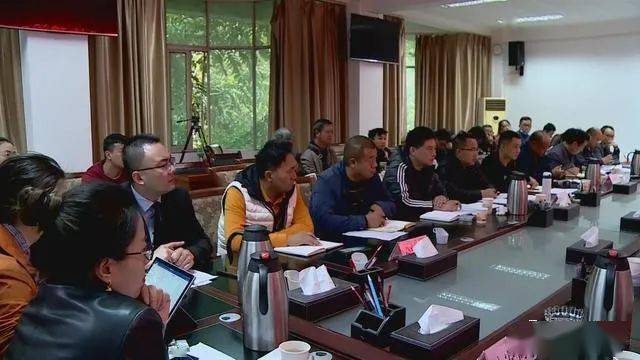 德昌最新新聞，擁抱自然，心靈寧靜之旅啟程