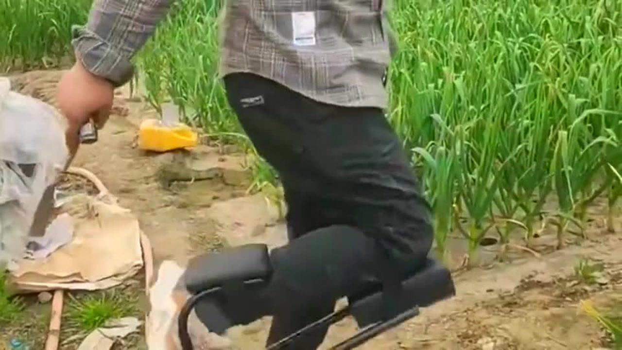 最新挖蒜工具，心靈與自然的完美交融