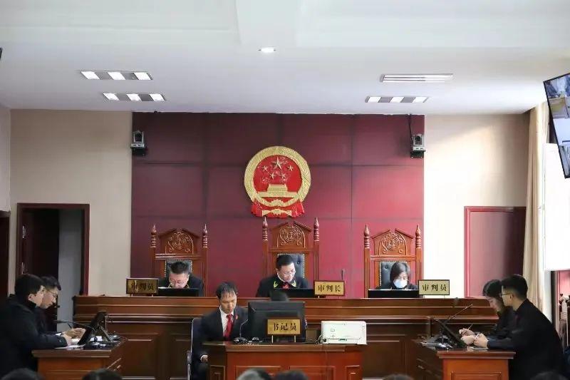 偏關(guān)最新案件深度解析，揭示真相，關(guān)注社會公正與公平