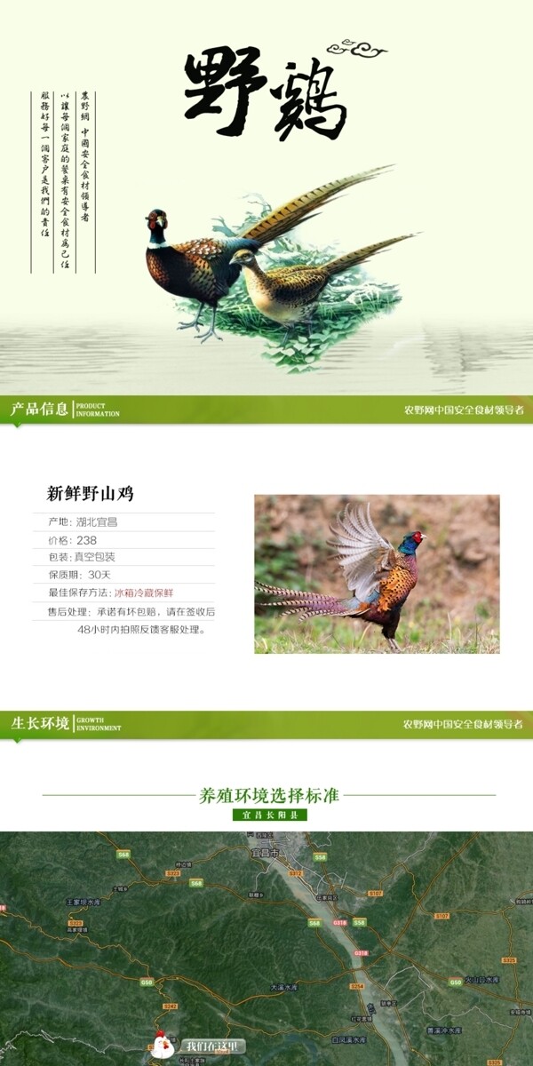深度剖析，最新山雞的背景、事件與地位概述