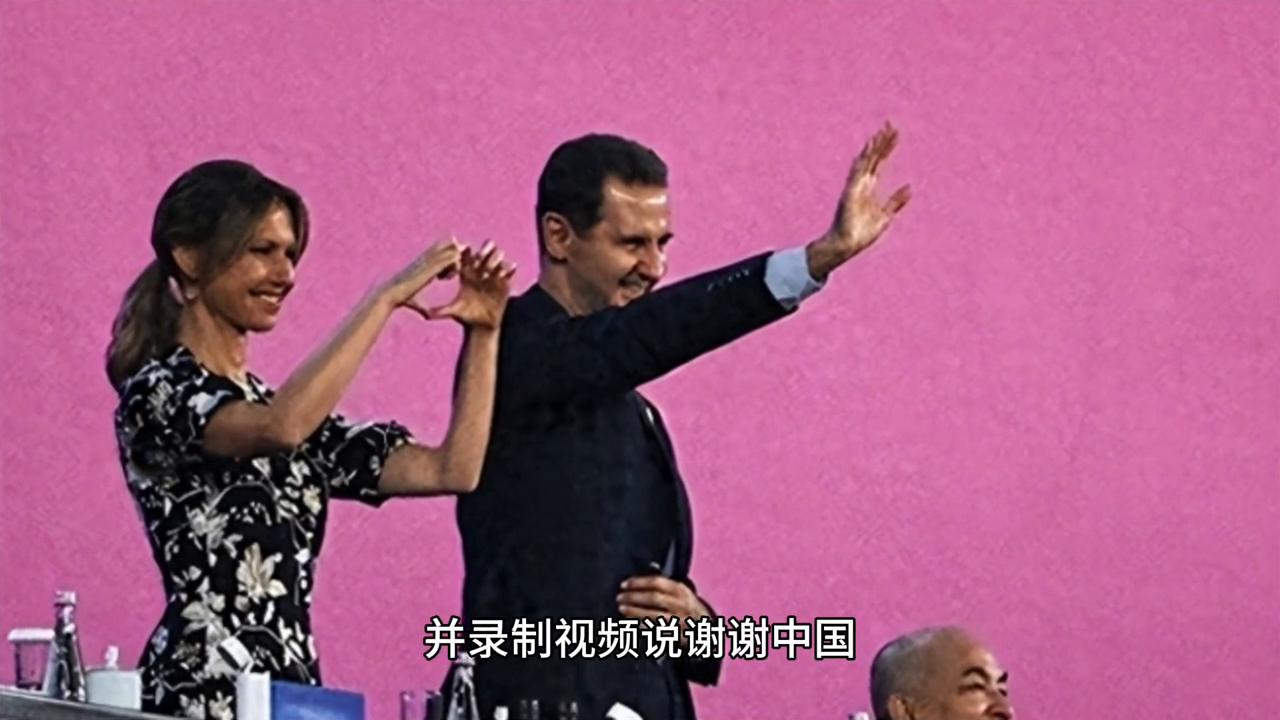 最新高包機(jī)科技，重塑生活，前沿體驗(yàn)盡在掌握