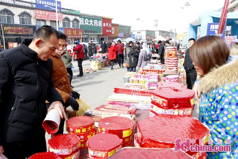 淘元素最新，淘淘的奇妙冒險(xiǎn)之旅與友情的溫暖體驗(yàn)