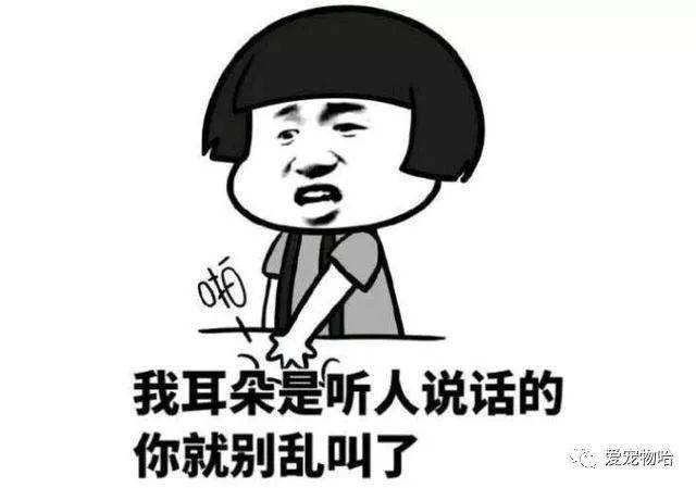最新枕邊笑話，科技小寶貝，生活添樂趣