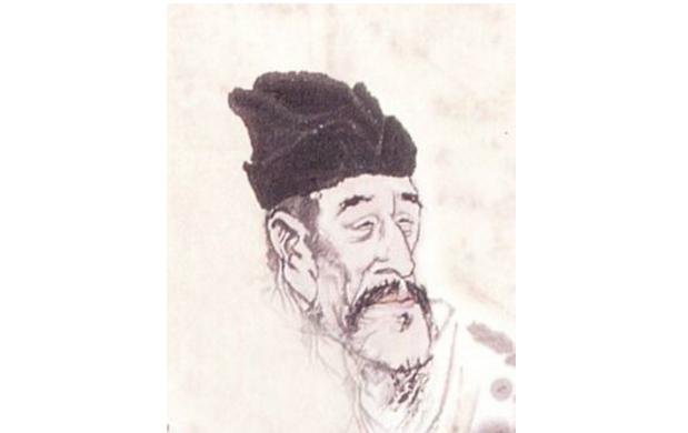 最新孤雁圖片，展現(xiàn)自然之美與深意的瞬間