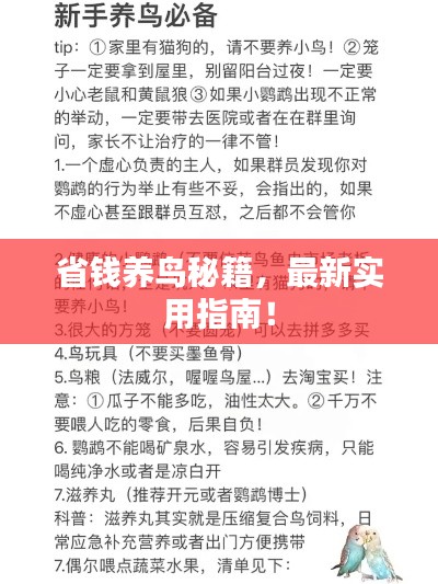 最新養(yǎng)鳥法規(guī)解析，觀點(diǎn)闡述與深度探討