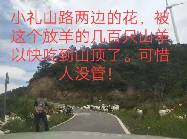 大悟最新路，探索未知，自信成就夢(mèng)想之旅的啟程