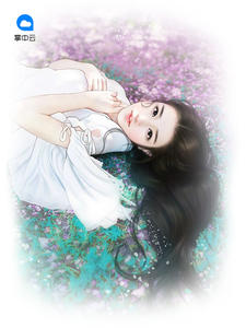 最新豪婿，小巷深處的獨(dú)特風(fēng)情