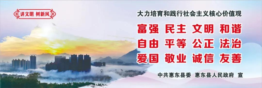 惠州肺炎最新動(dòng)態(tài)，小巷深處的獨(dú)特小店背后的故事